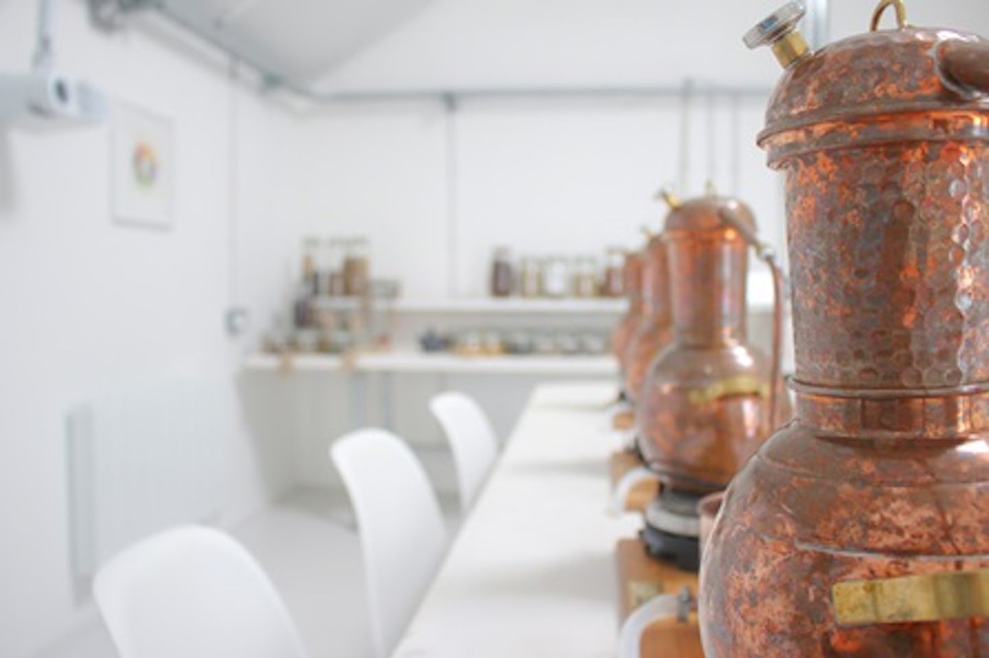 Learn the Art of Distilling and Create your Own Gin