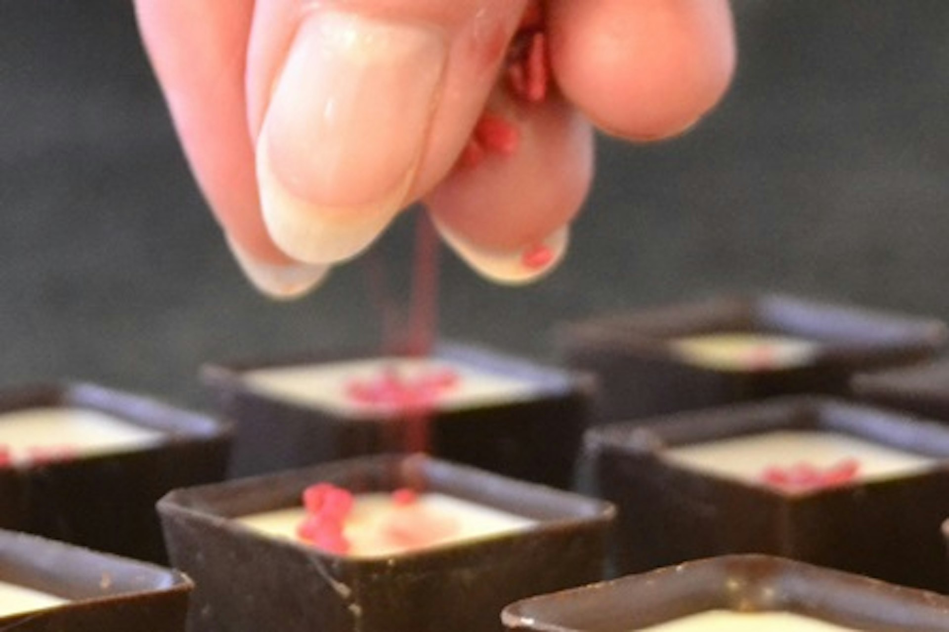 Learn the Art of the Chocolatier for Two with Chocolate Craft 4