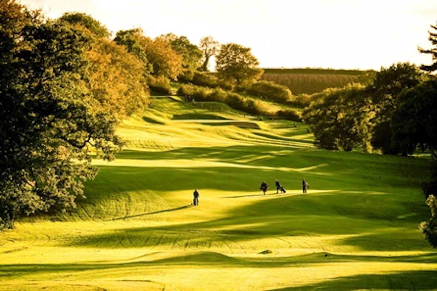 Learn to Play Golf at a Marriott Hotel Course