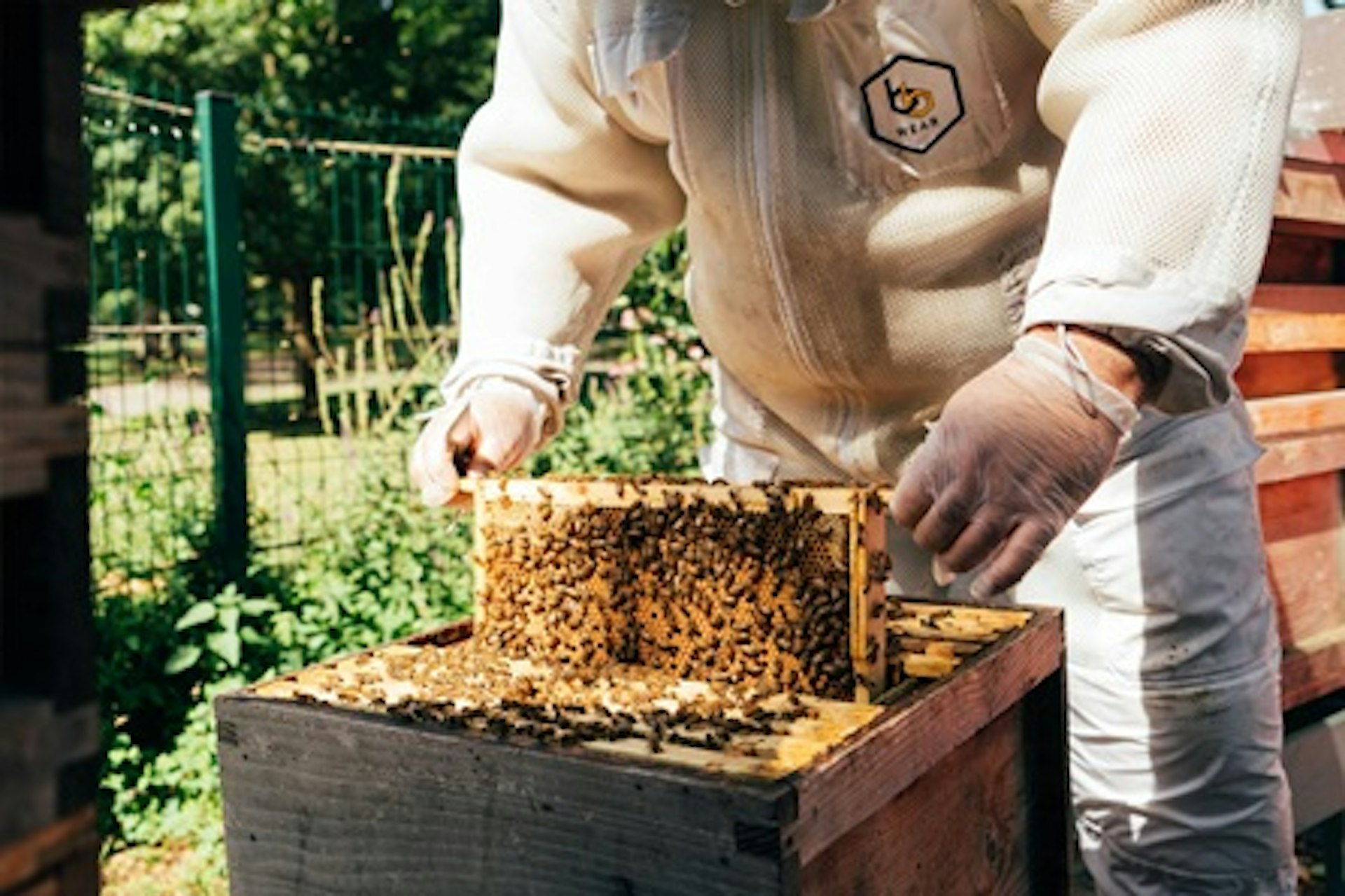 Urban Beekeeping and Honey Craft Beer Tasting 2