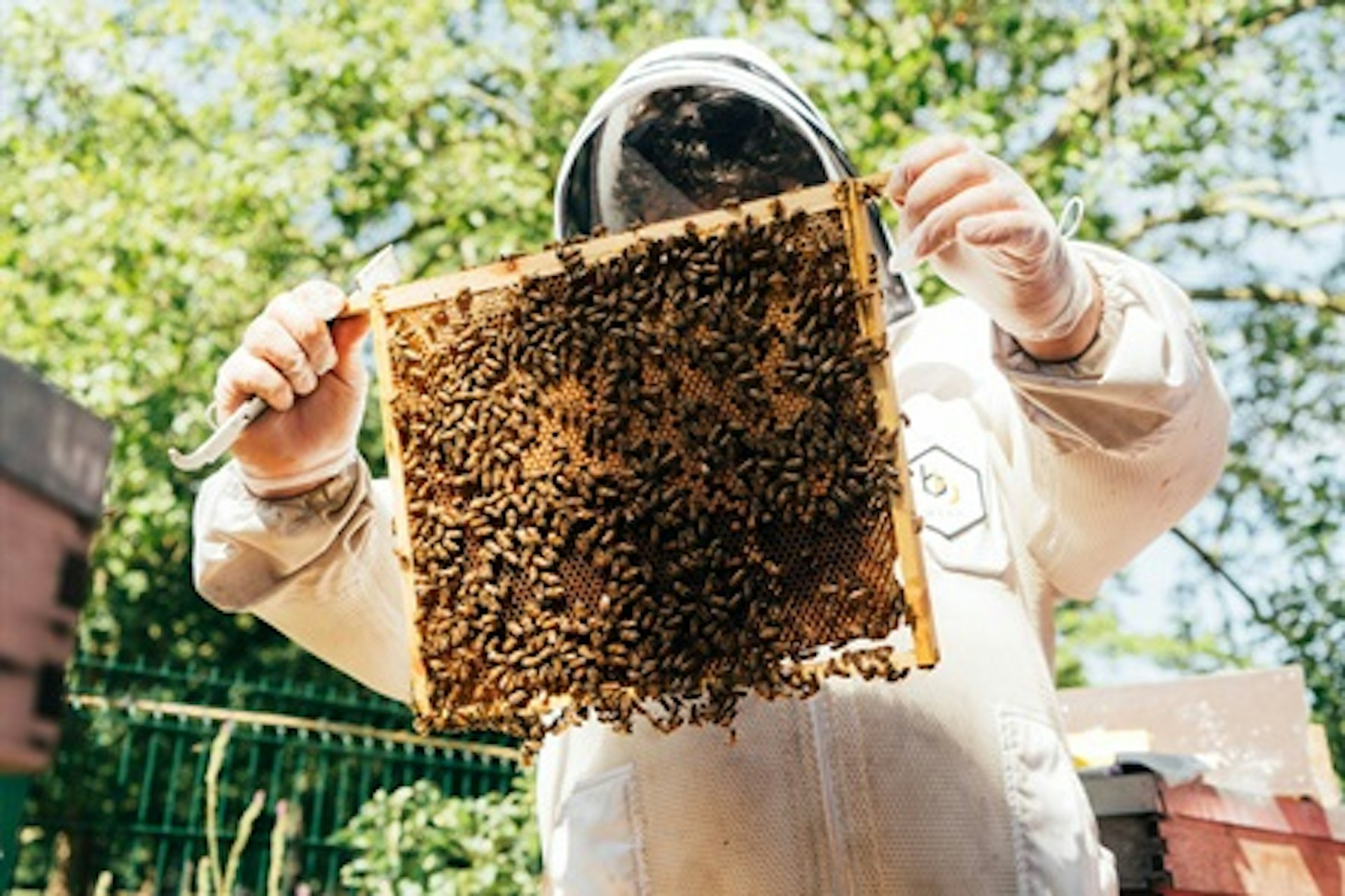 Urban Beekeeping and Honey Craft Beer Tasting for Two 1