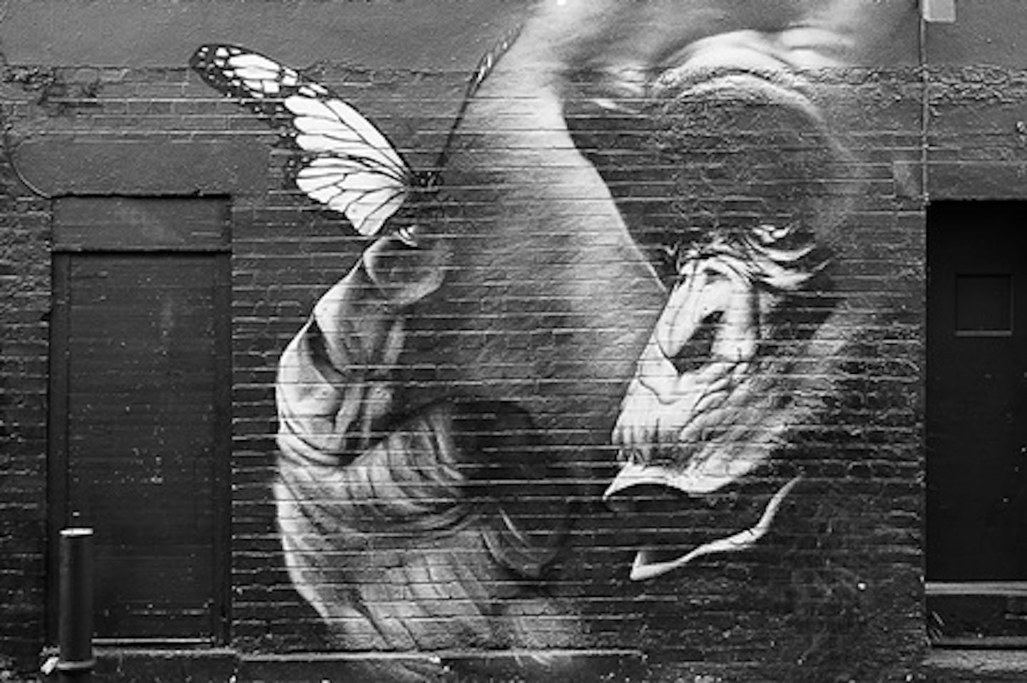 London Street Art Photography Tour