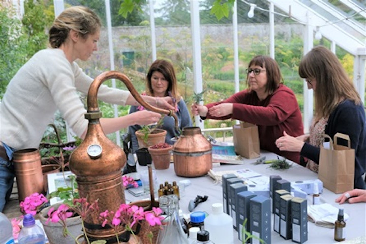 Make Your Own Botanical Extracts from a Wildflower Meadow