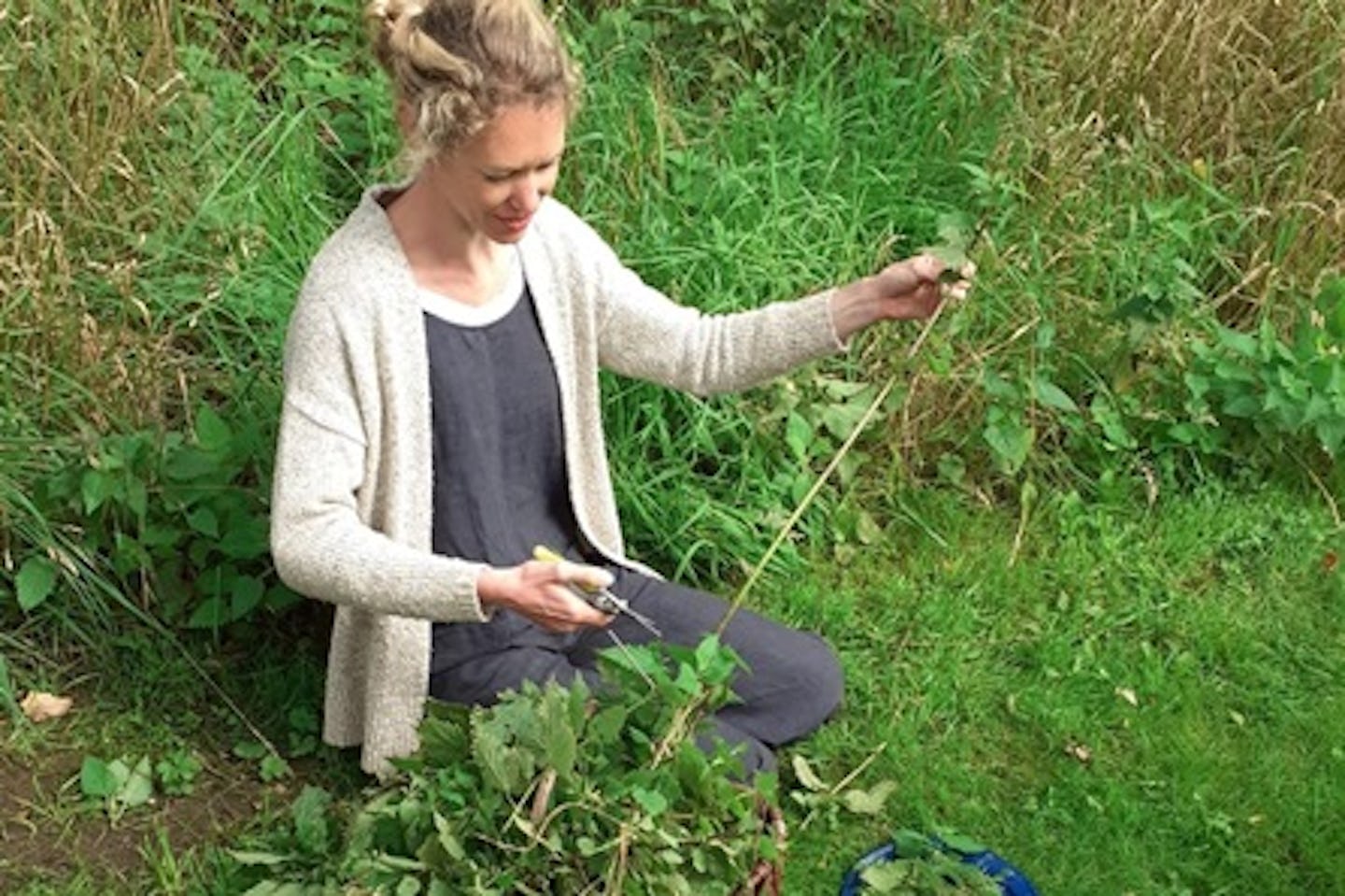 Make Your Own Natural Skincare Products from a Wildflower Meadow