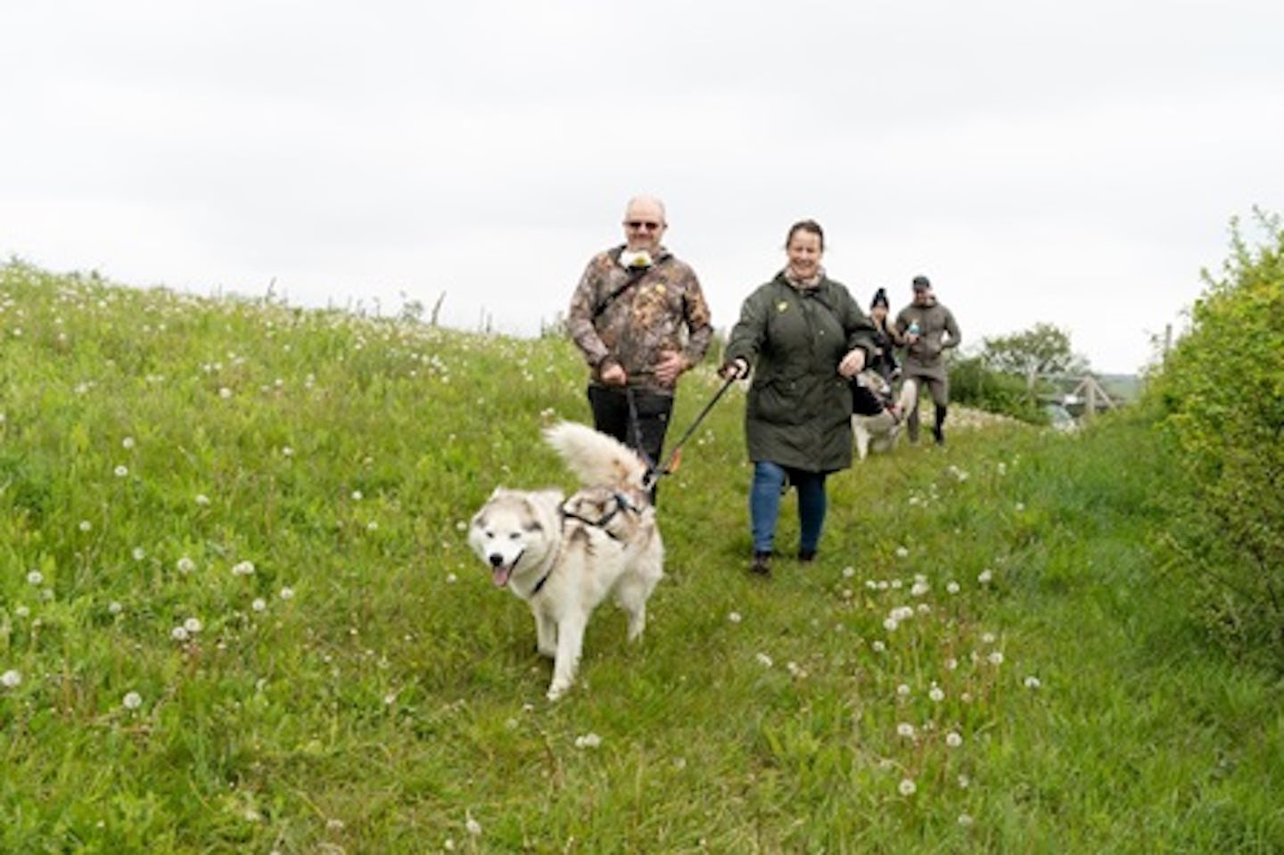 Meet the Huskies and Entry to Eagle Heights Wildlife Foundation for Two