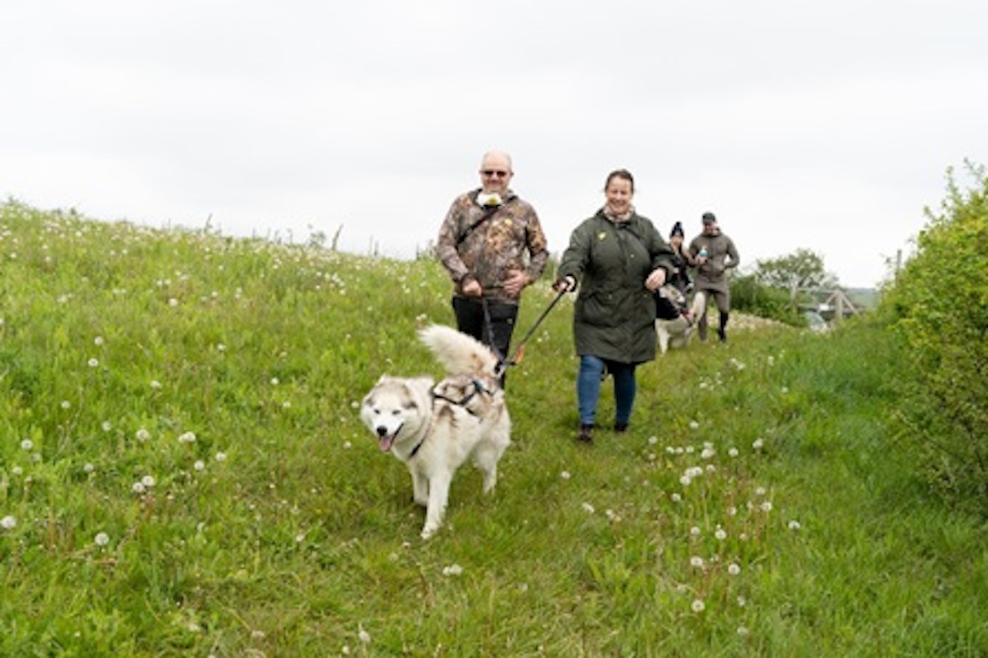 Meet the Huskies and Entry to Eagle Heights Wildlife Foundation for Two 2