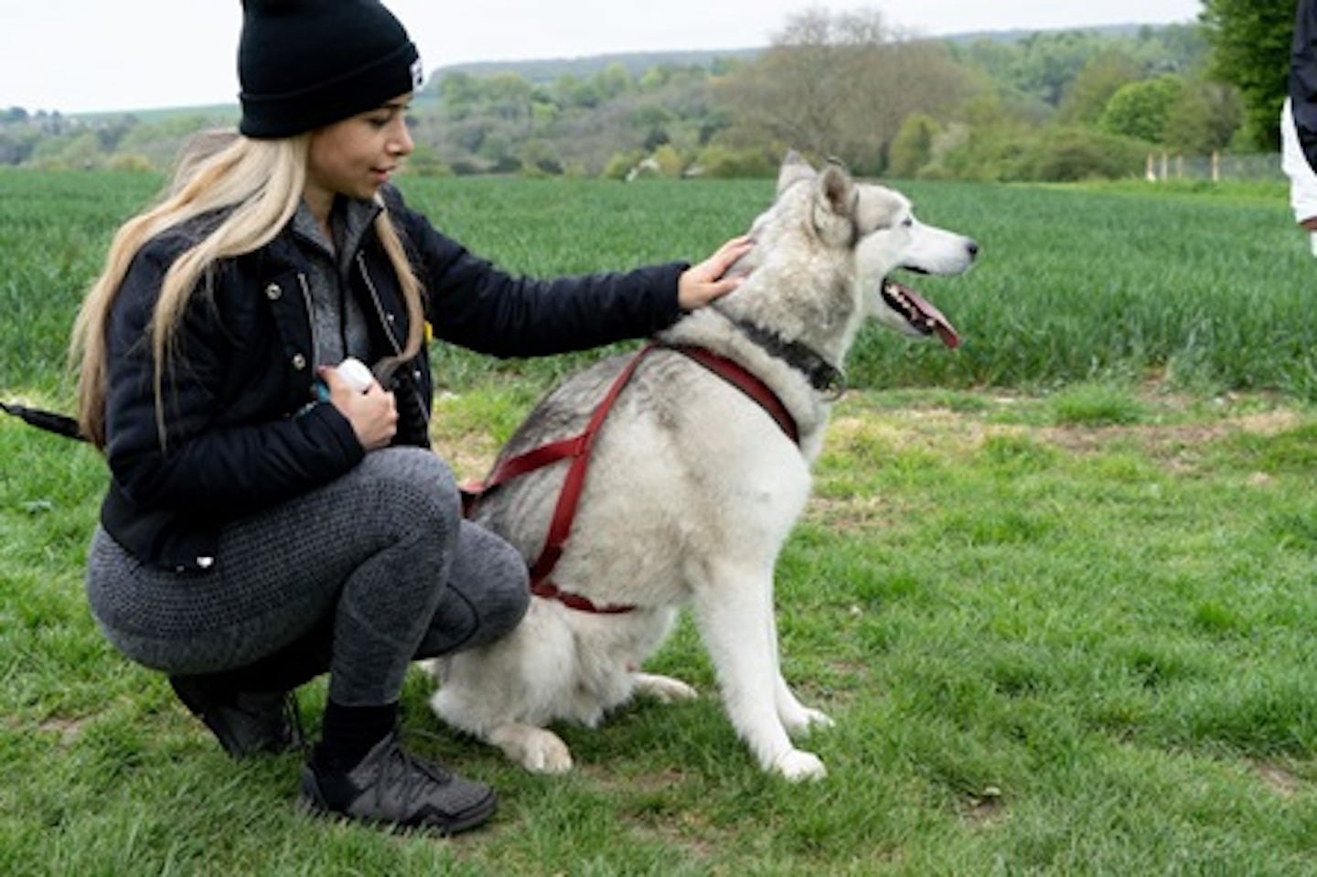 Meet the Huskies and Entry to Eagle Heights Wildlife Foundation for Two