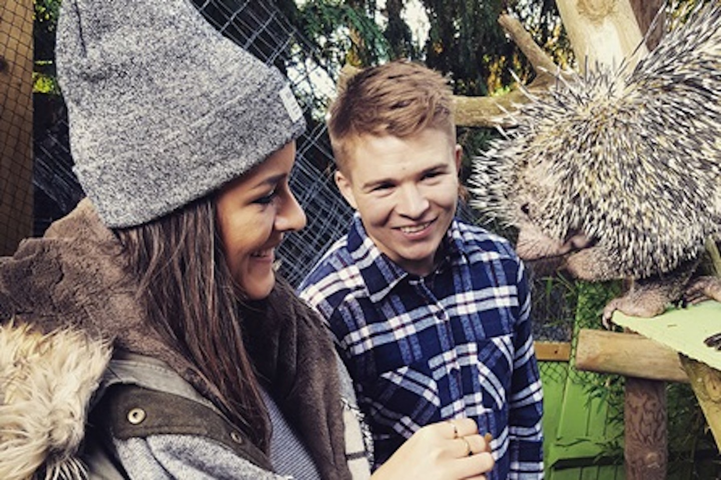 Meet the Porcupines at Hemsley Conservation Centre