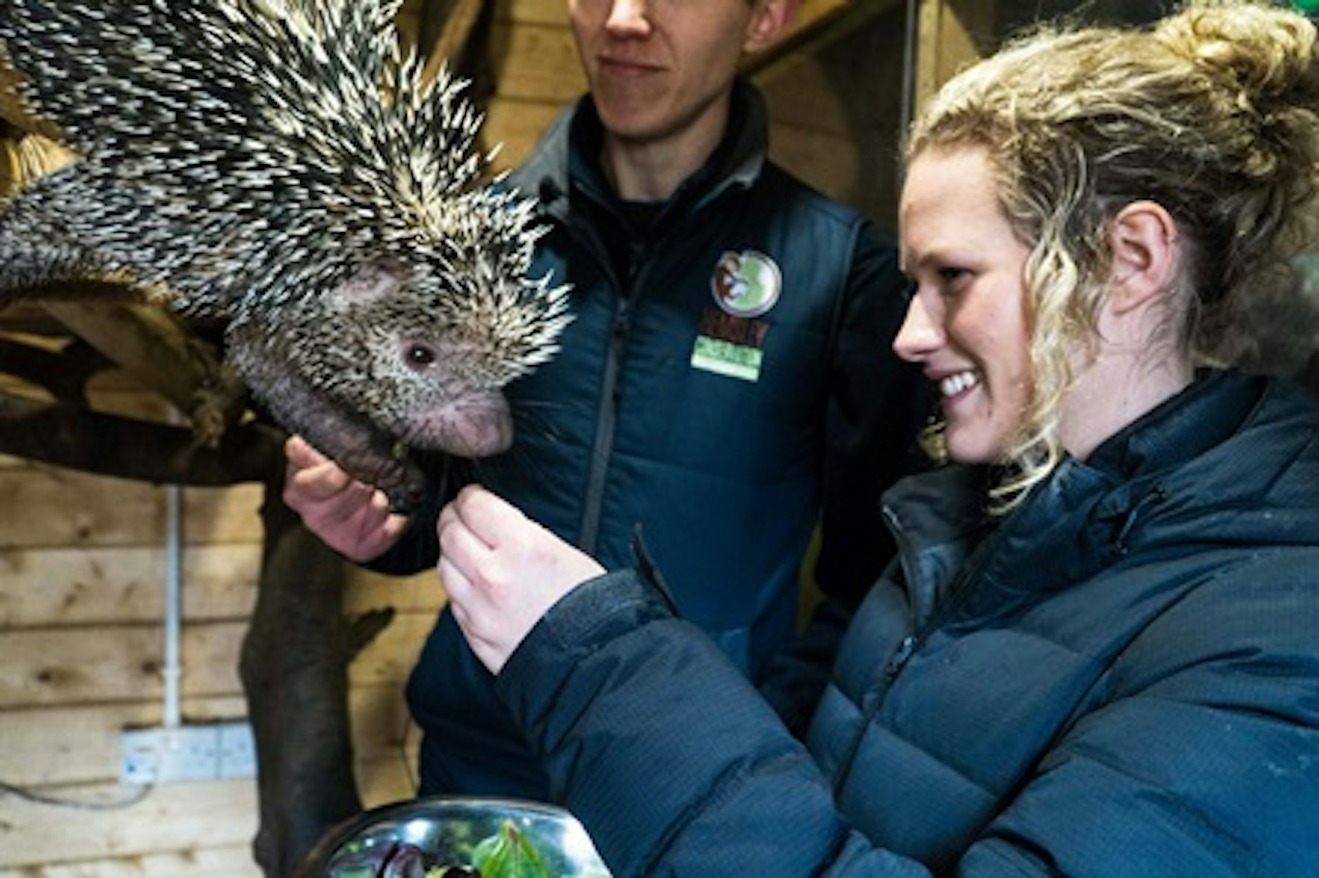 Meet the Porcupines at Hemsley Conservation Centre 2