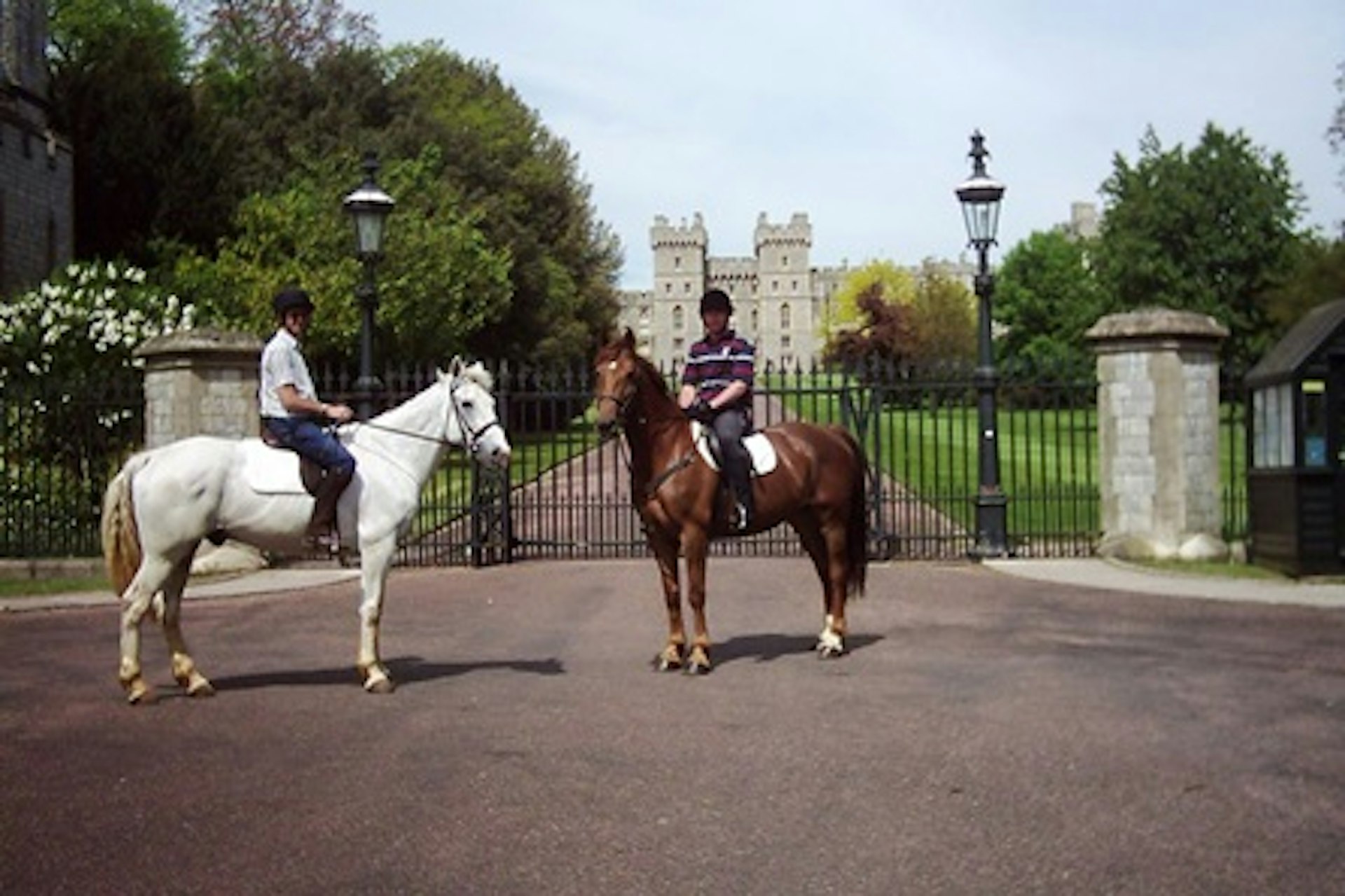 One Hour Horse Riding for One Adult and One Child in Windsor Great Park 2