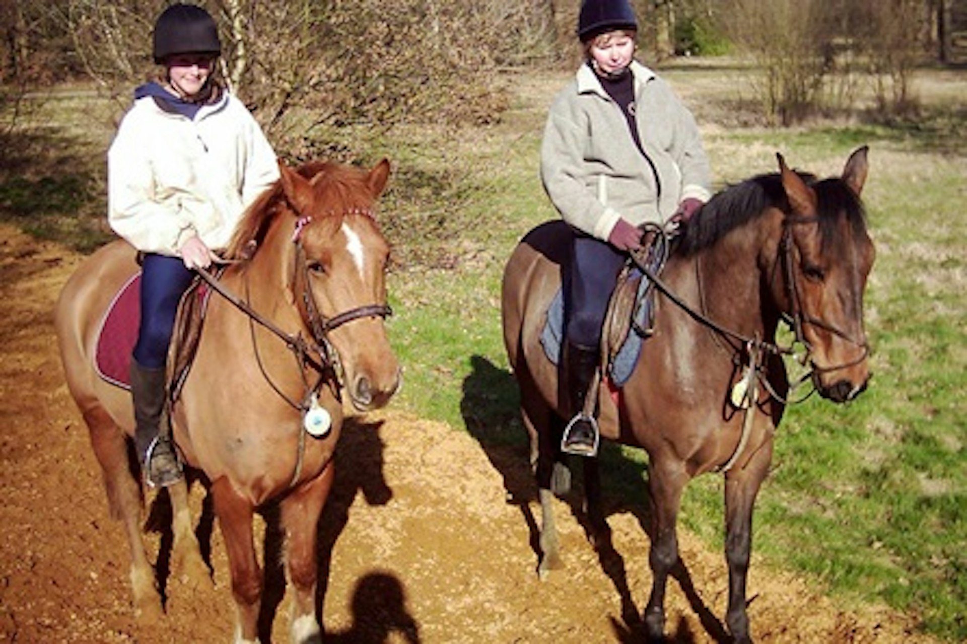 One Hour Horse Riding for One Adult and One Child in Windsor Great Park 3