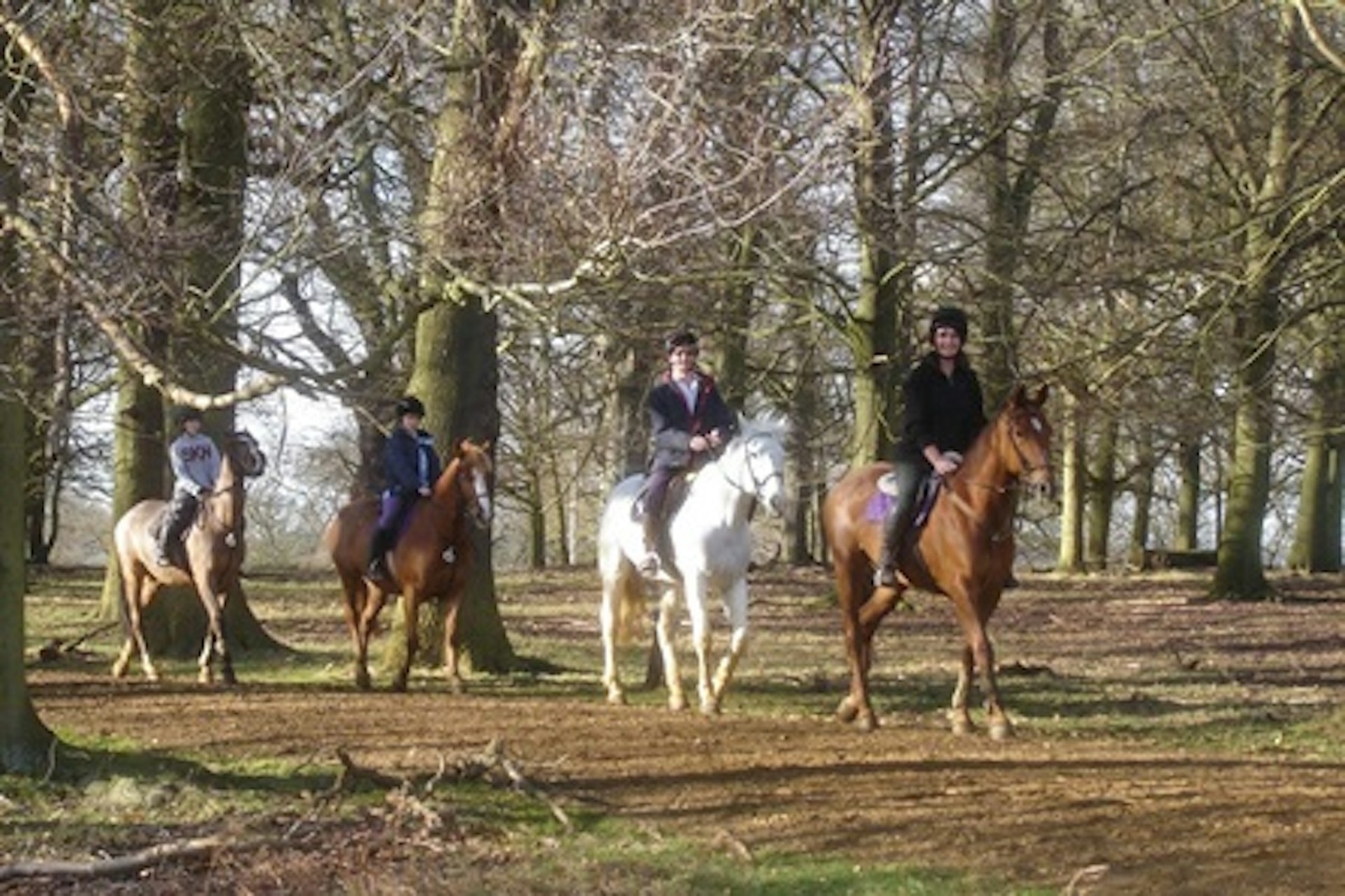 One Hour Horse Riding for One Adult and One Child in Windsor Great Park 4