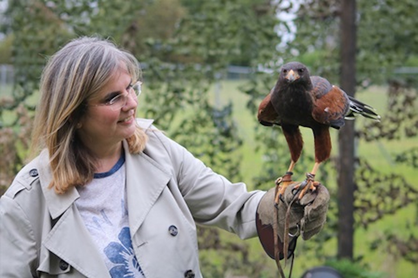 One Hour Private Falconry Encounter for Two at Millets Falconry