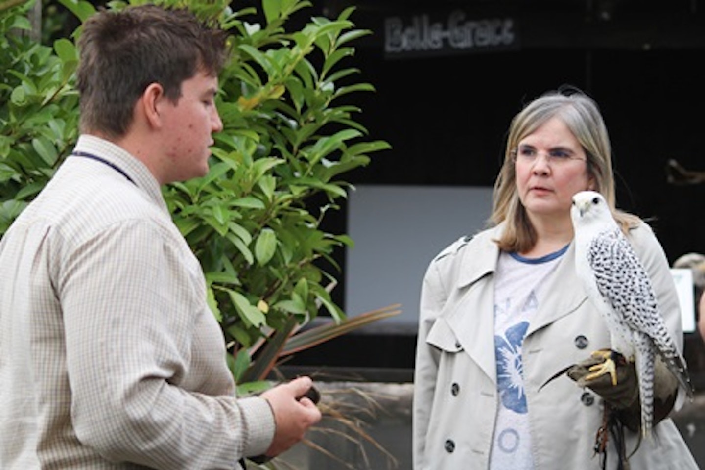 One Hour Private Falconry Encounter for Two at Millets Falconry 3