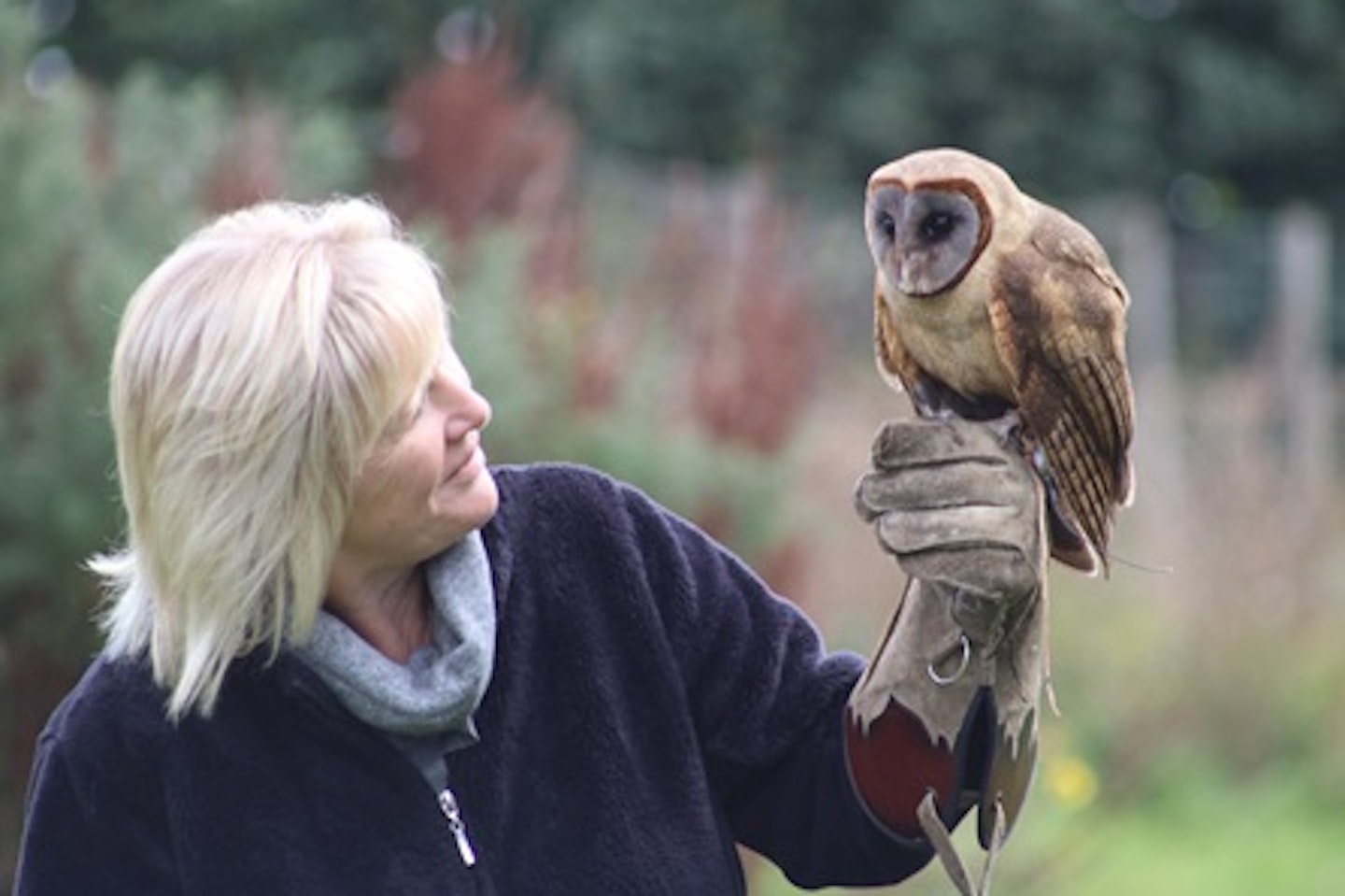 One Hour Private Owl Encounter for Two at Millets Falconry 1