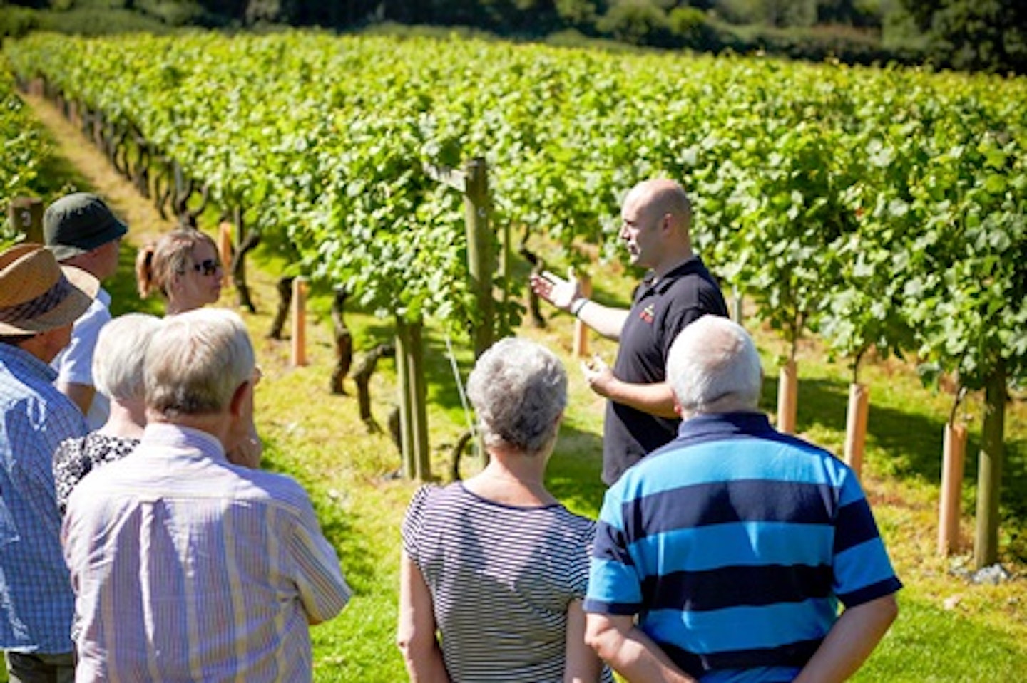 Wine Tasting With Overnight Stay At Chapel Down Winery For Two