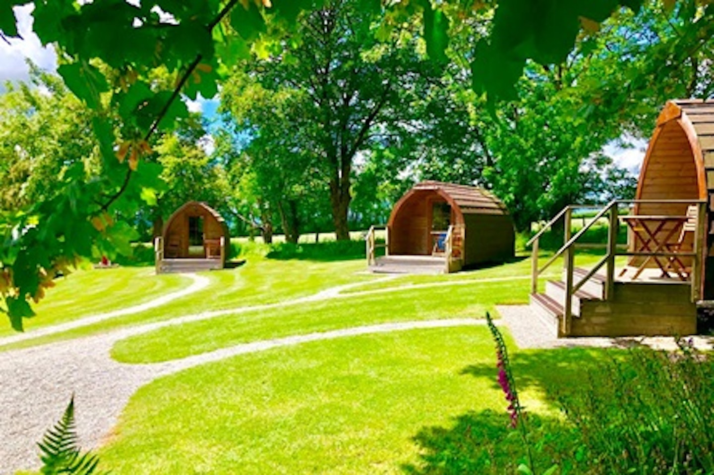 One Night Super Glamping Pod Break in Devon 2