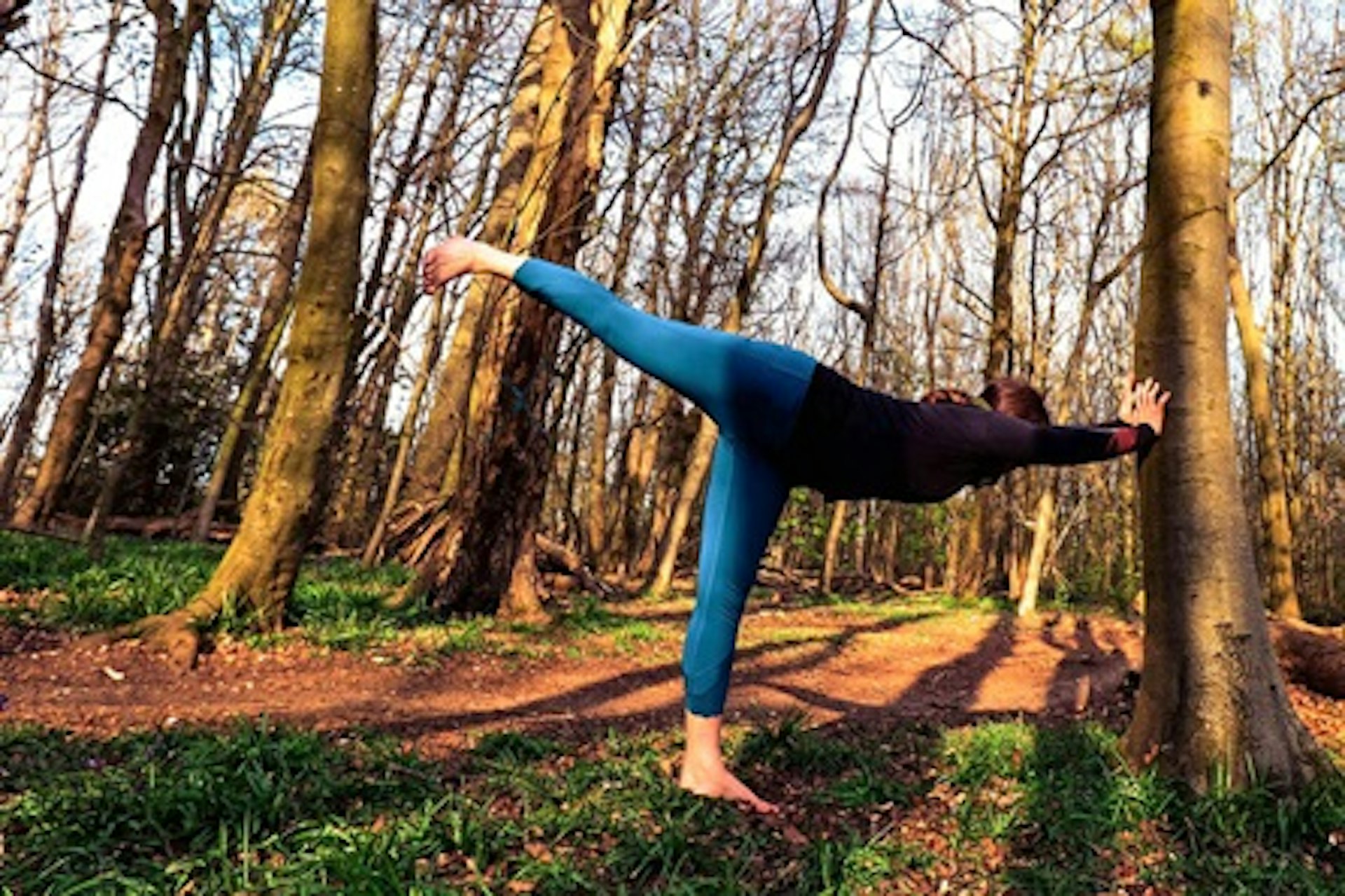 Outdoor Yoga and Forest Bathing for Two 2