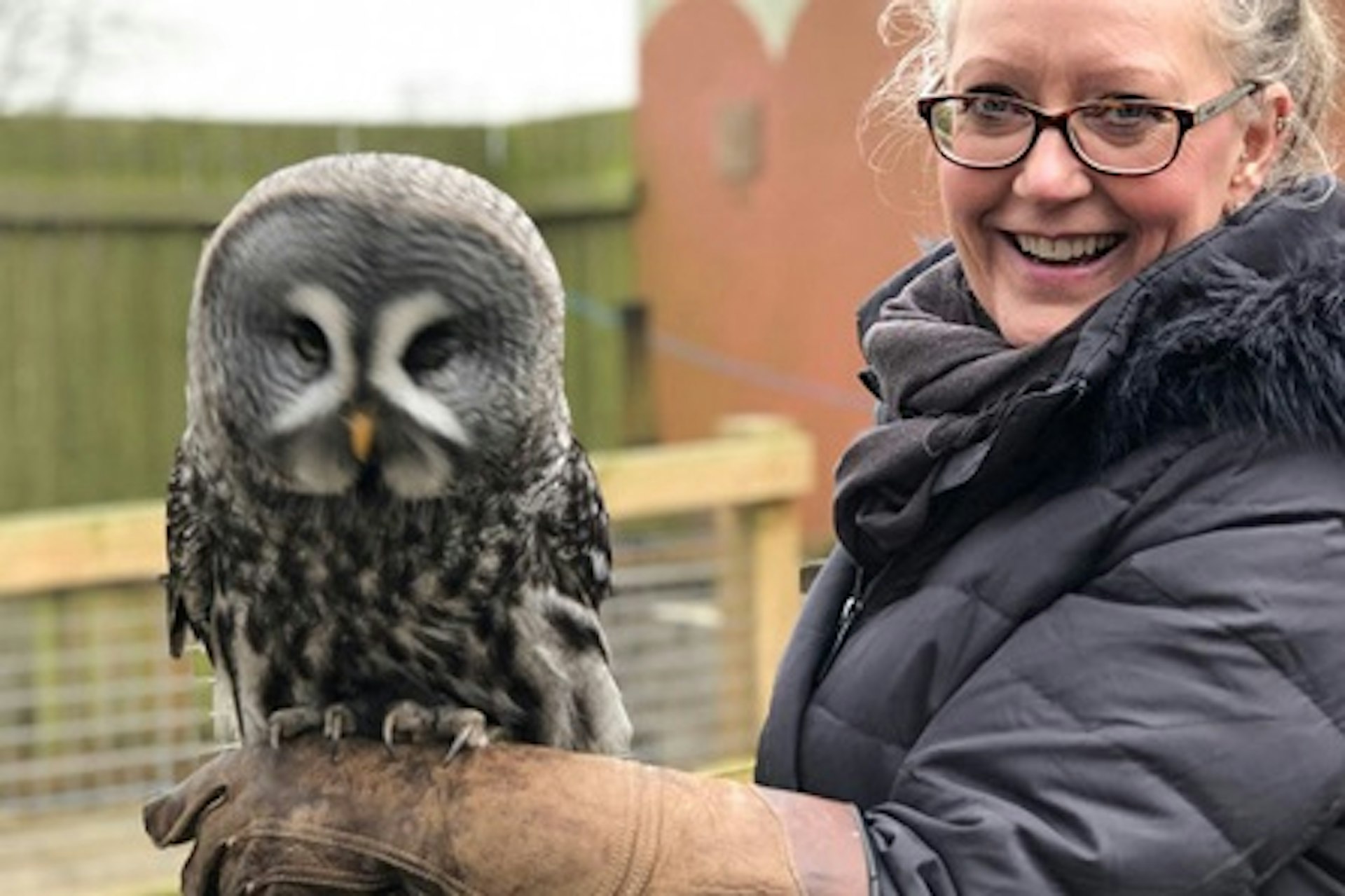 Owl Encounter for Two at Bridlington Animal Park 1