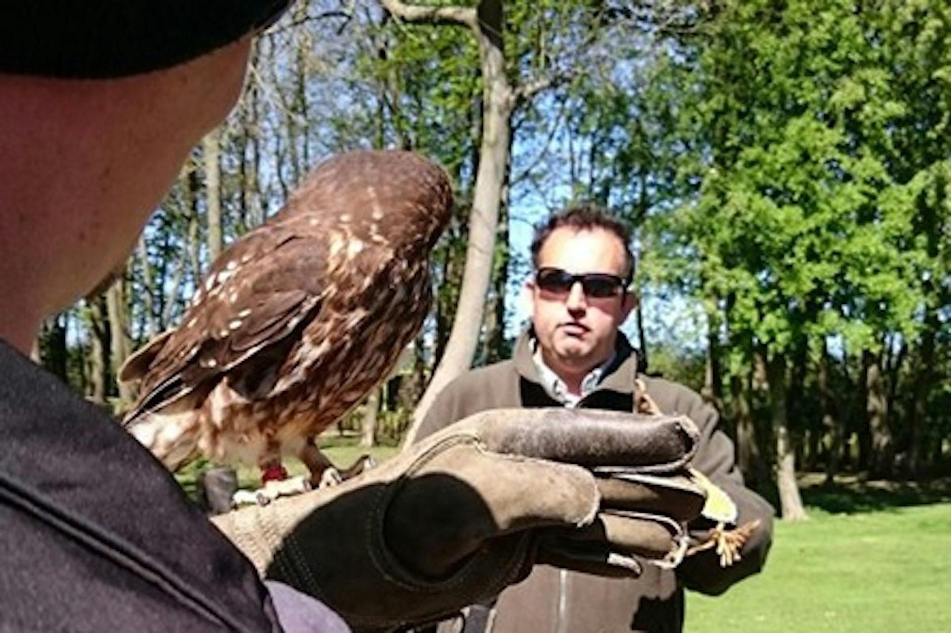 Owl Encounter for Two at Bridlington Animal Park 2