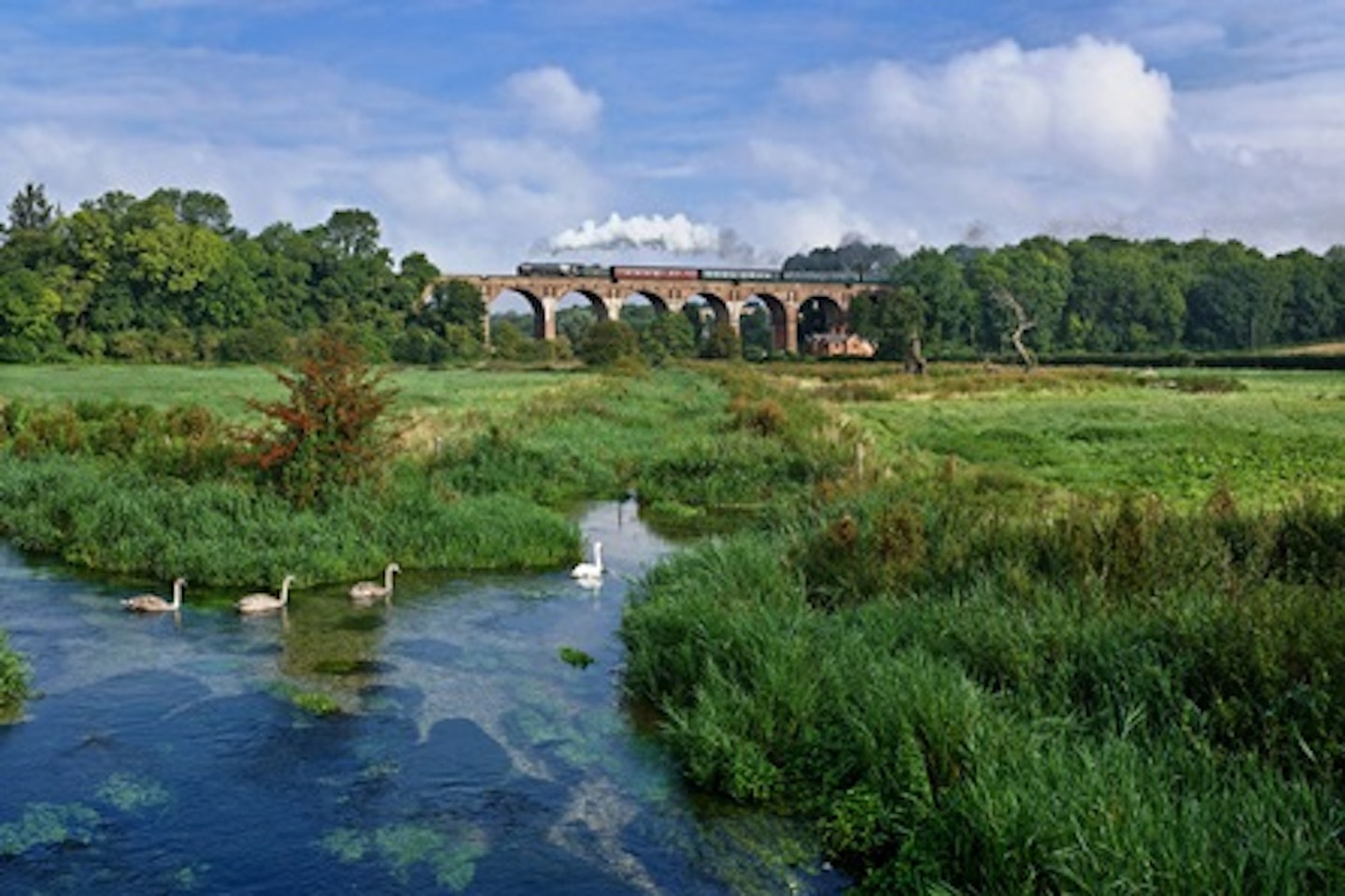 Premium Standard Steam Train Experience for Two with The Steam Dreams Rail Co 3