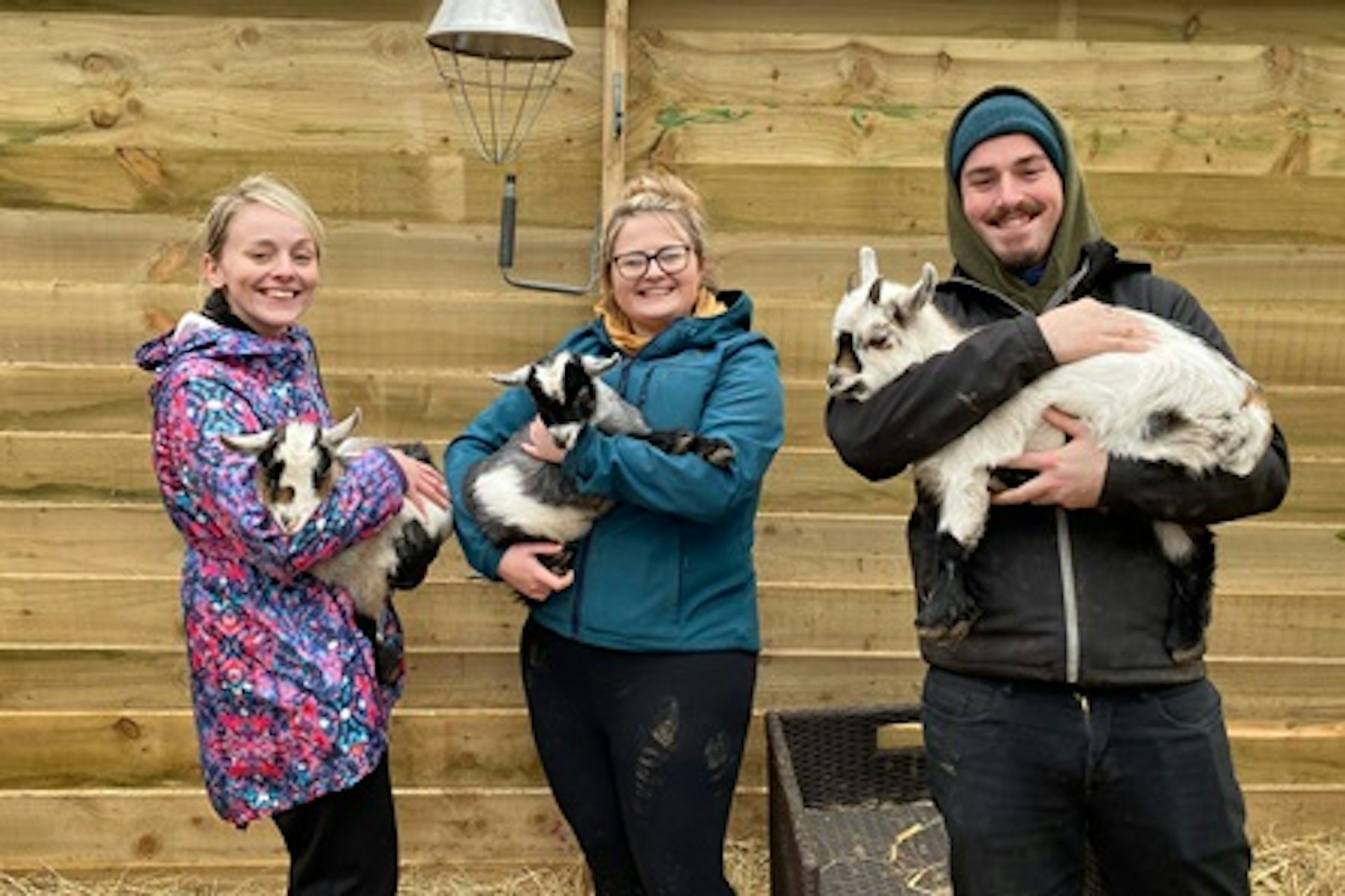 Pygmy Goat Experience for Two 1