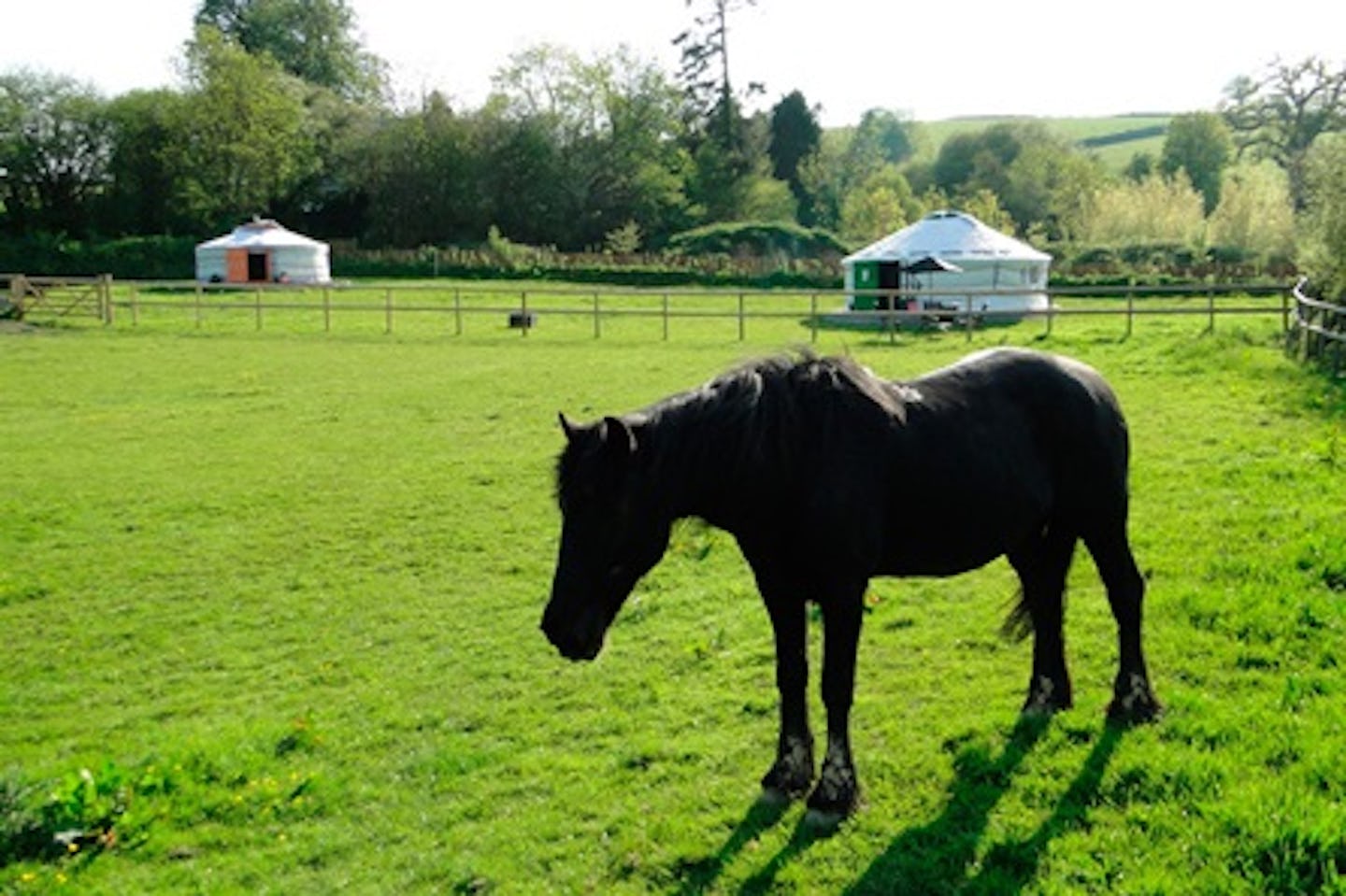 Two Night Yurt Break in Devon