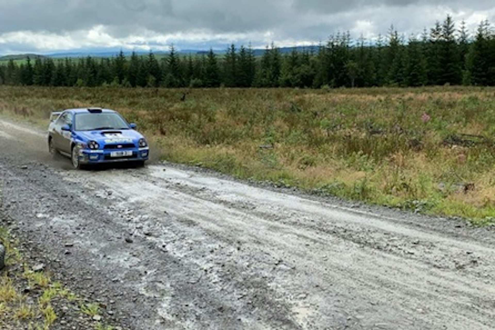 Real Rally Stage Taster with The Forest Experience 4