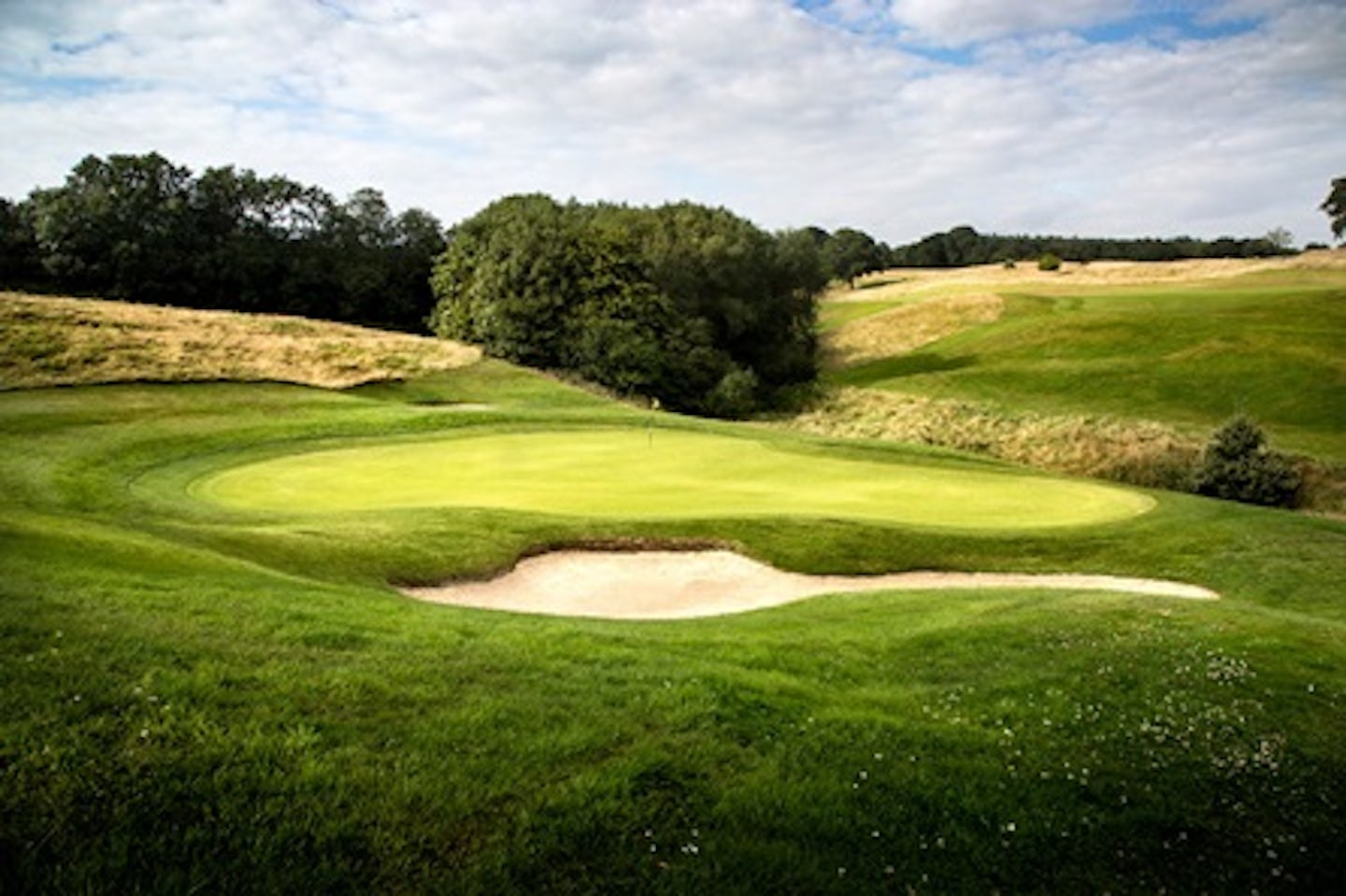 Round of Golf on the Dale Hill Course for One