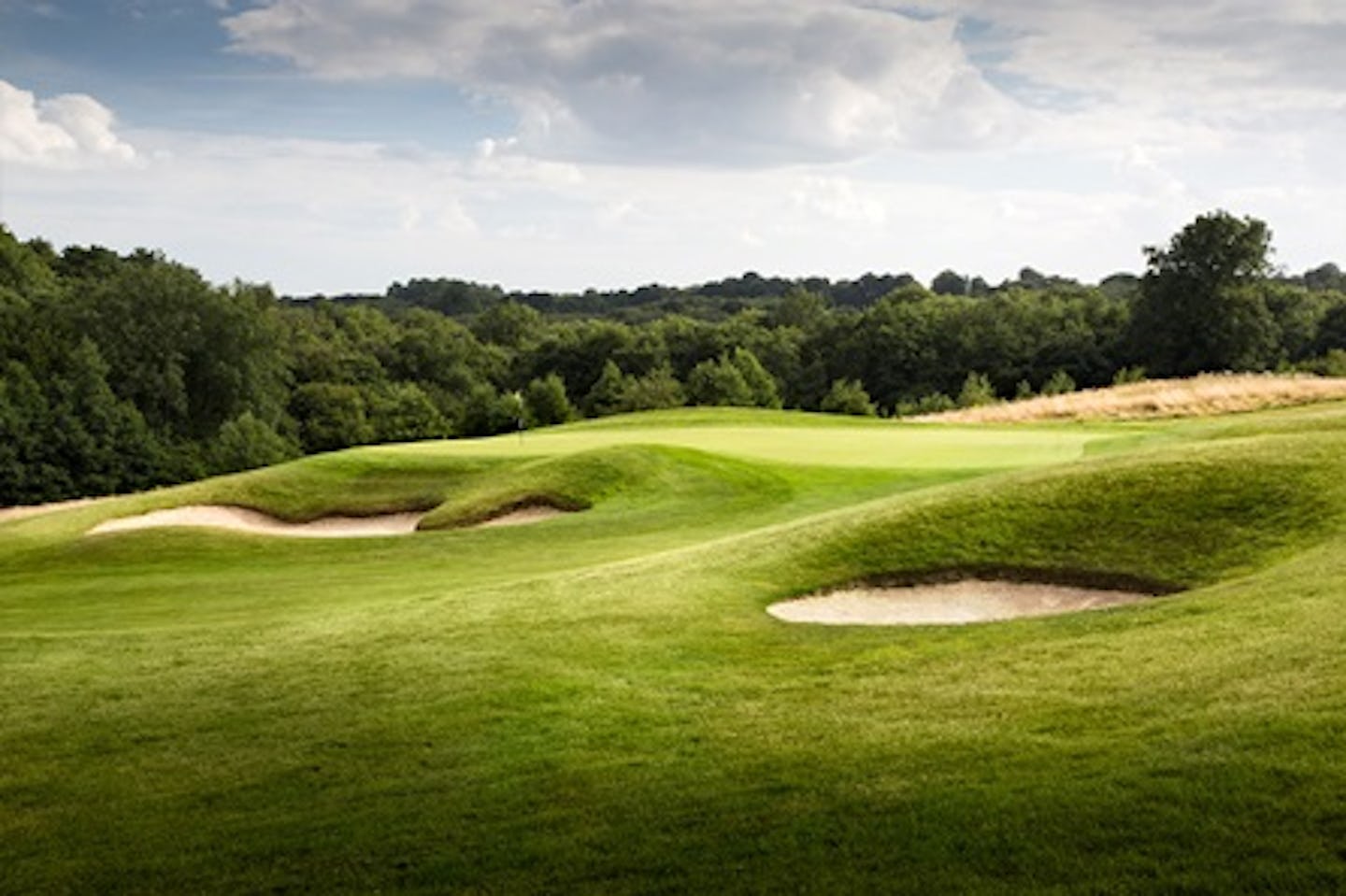 Round of Golf on the Dale Hill Course for One