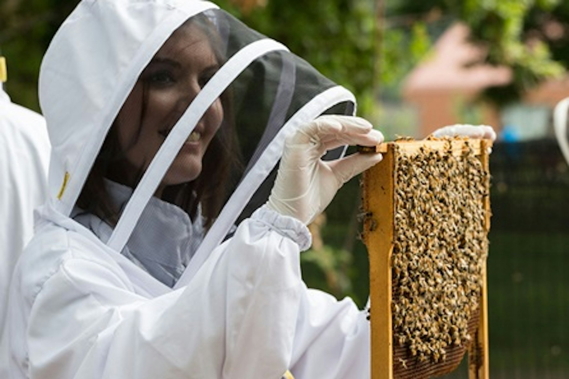 Rural Beekeeping and Honey Craft Beer Tasting 1