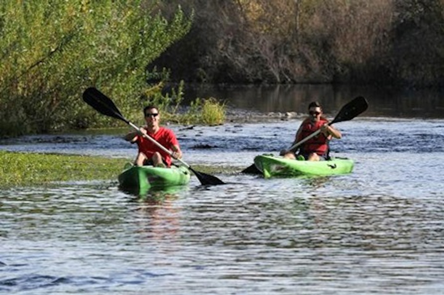 Kayaking Experience on The Thames at Richmond 4