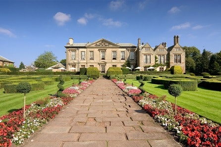 The Indigo Collection 3