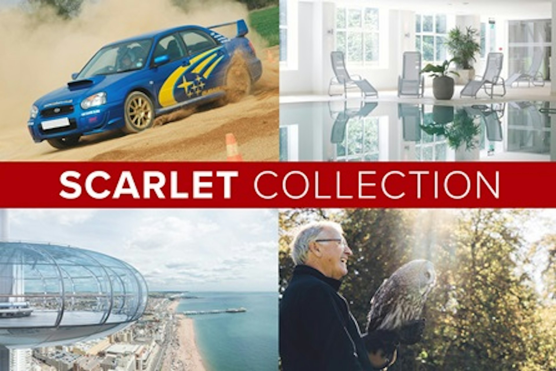The Scarlet Collection 1
