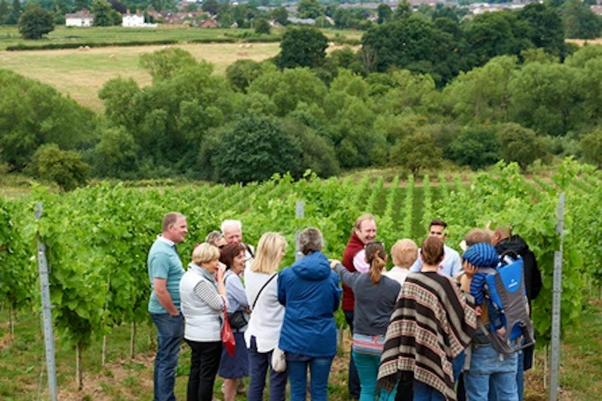 Tour and Tasting with Glass of Sparkling Wine for Two at Hencote Vineyard 2