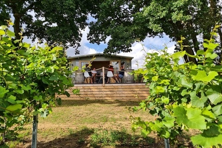 Tour and Wine Tasting for Two at Trotton Estate Vineyards 1