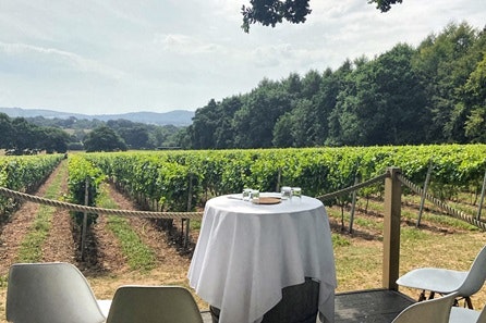 Tour and Wine Tasting for Two at Trotton Estate Vineyards 3