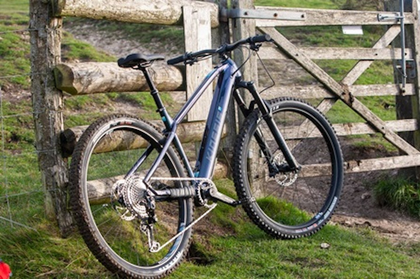 Tour the South Downs with GPS Guided Half Day Electric Mountain Bike Hire