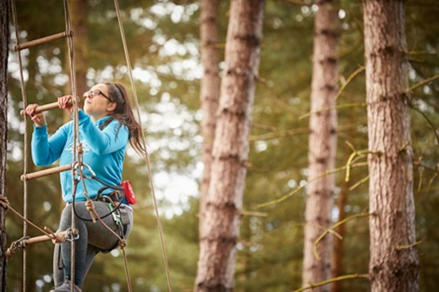 Tree Top Adventure for Two with Go Ape