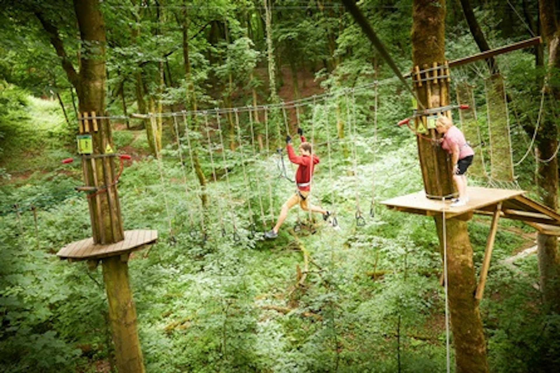 Tree Top Challenge for Two with Go Ape 2