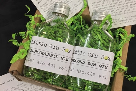 Twelve Months Gin Subscription with Little Gin Box 1