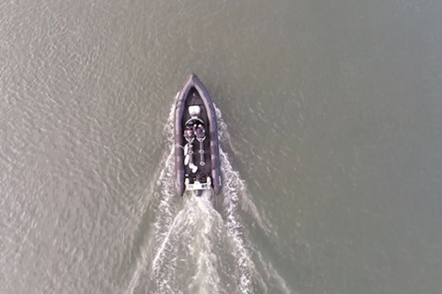 Two Hour Bridges and Blackness Castle Sea Safari on the Forth 4