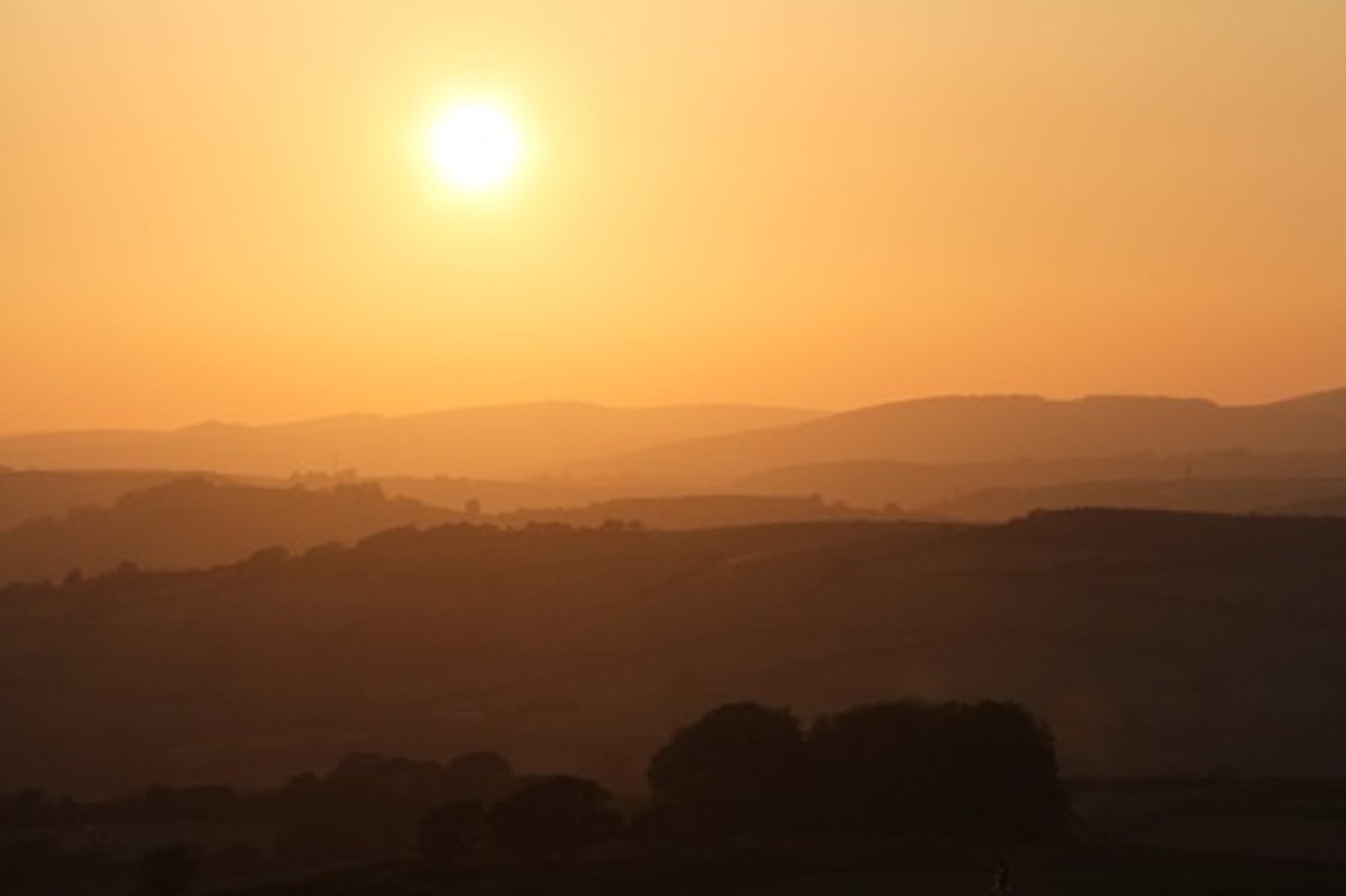 Two Night Devon Shepherds Hut Break for Four 4