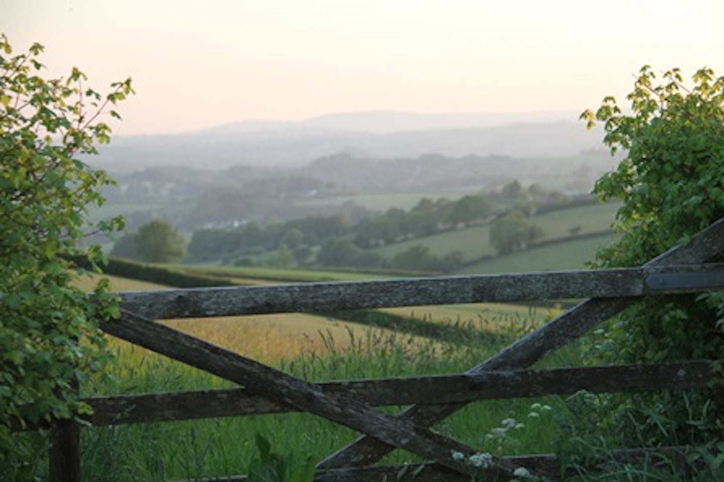 Two Night Devon Yurt Break for Two