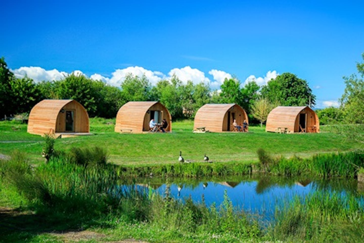 Two Night Somerset Escape for Two in The Old Oak Glamping Pod at Wall Eden Farm