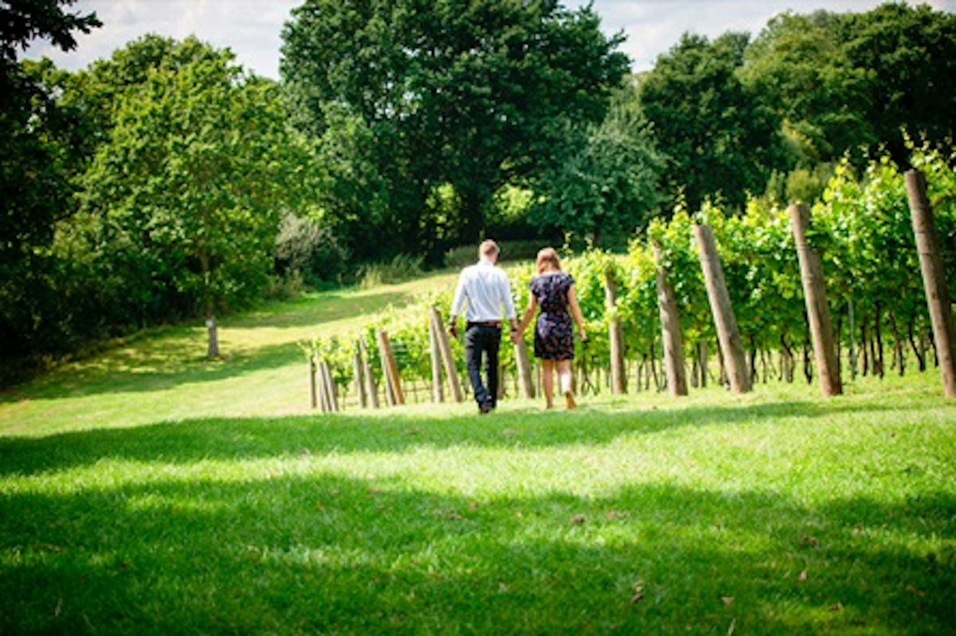 Chapel Down Wine Tasting and Vineyard Tour For Two 3