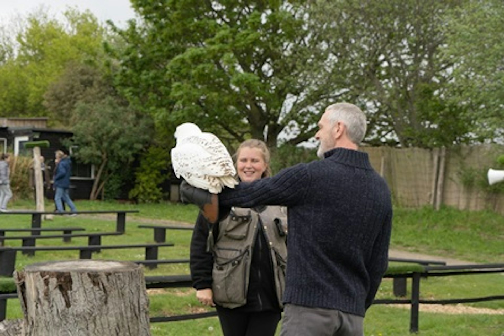 Visit to Eagle Heights the UK's Largest Bird of Prey Centre with Afternoon Tea for Two 1