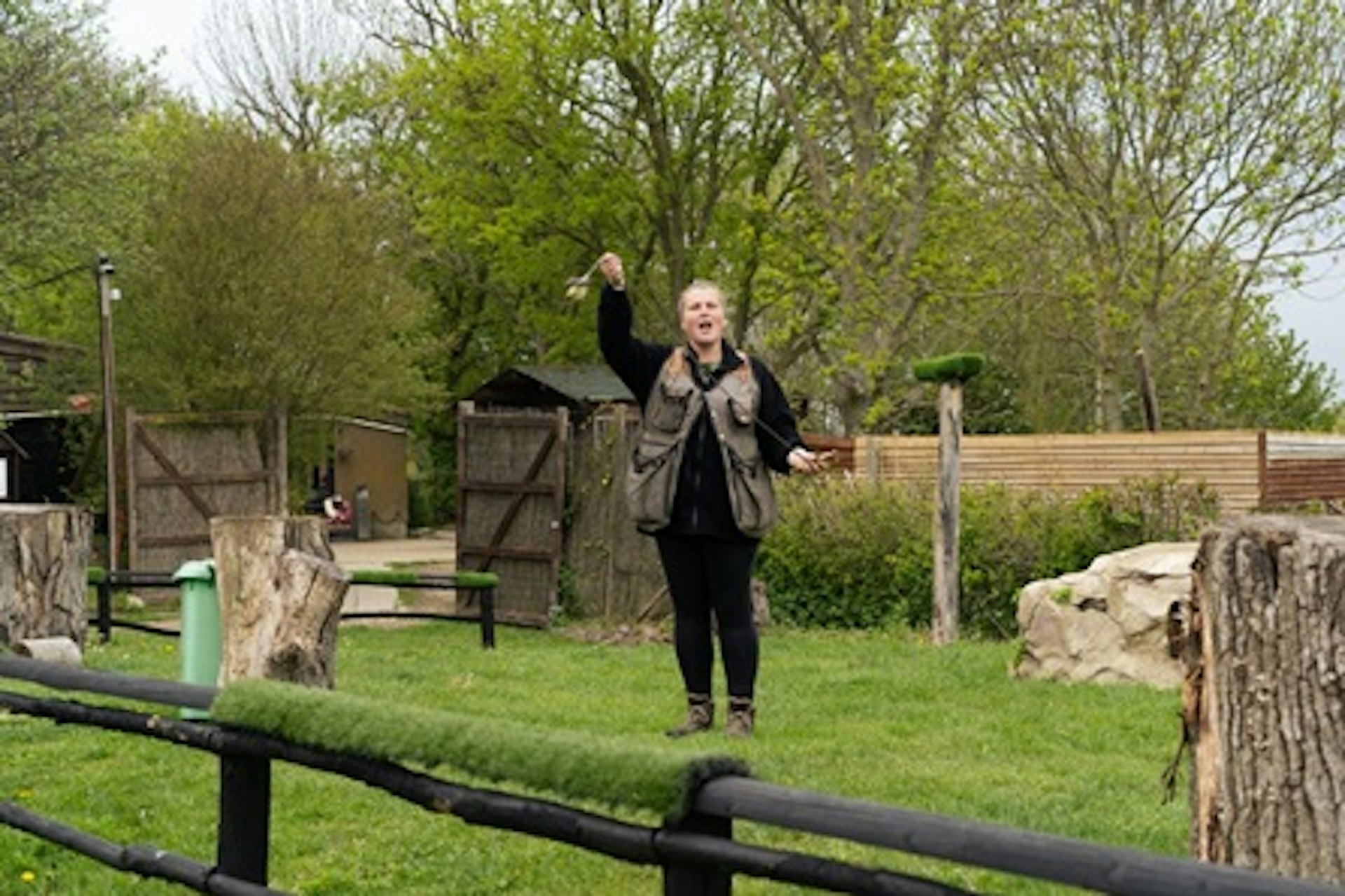 Visit to Eagle Heights the UK's Largest Bird of Prey Centre with Afternoon Tea for Two 2