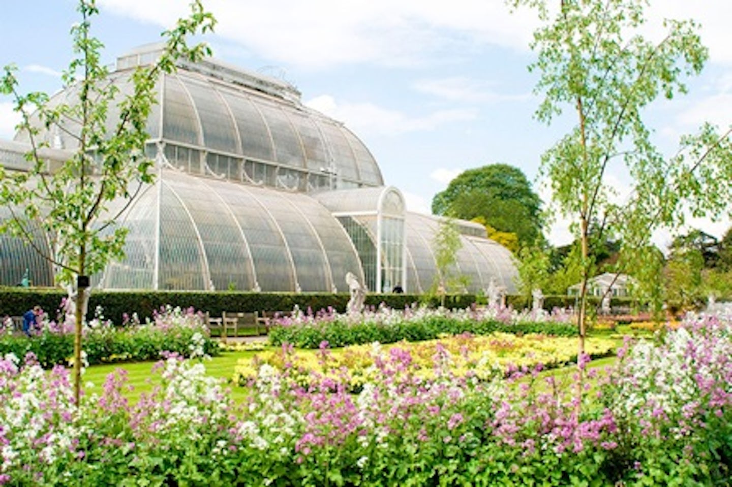 Visit to Kew Gardens and Afternoon Tea at The Botanical for Two