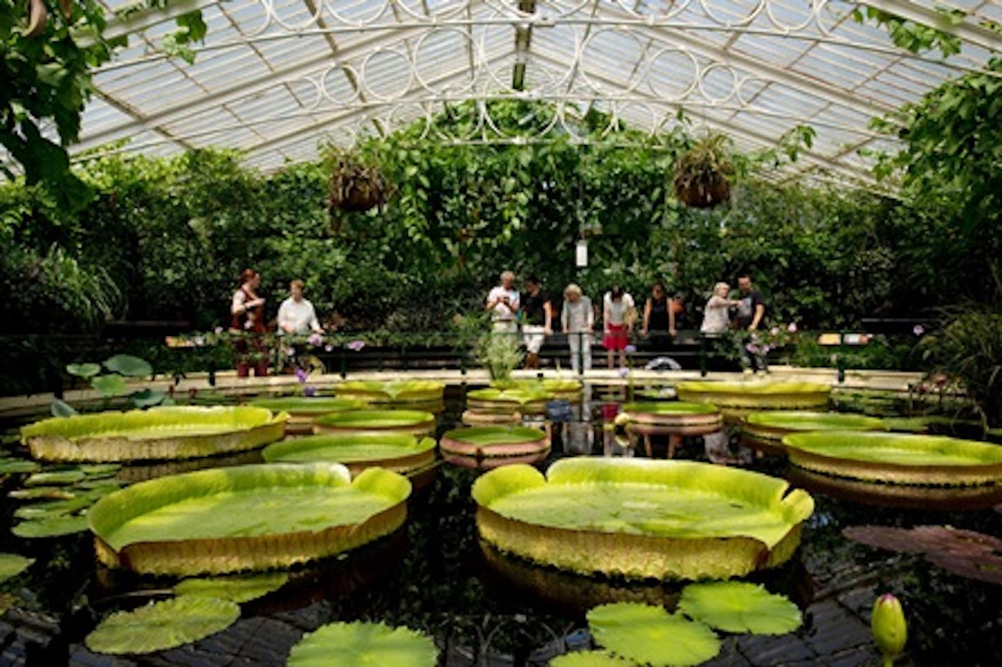 Visit to Kew Gardens and Palace for Two Adults